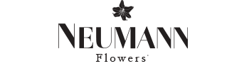 Neumann Flowers