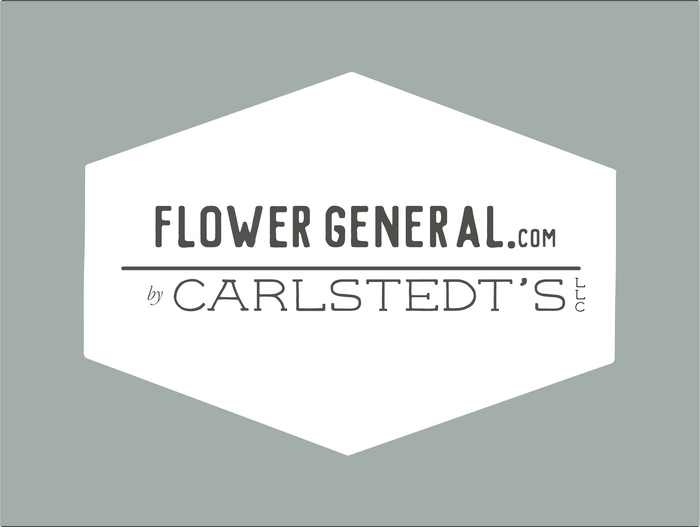 Carlstedt S Hi Res Logo