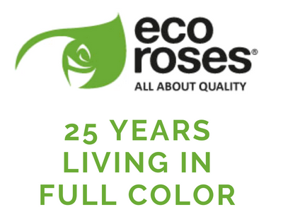 ECOROSES, 25 Years Living in Full Color