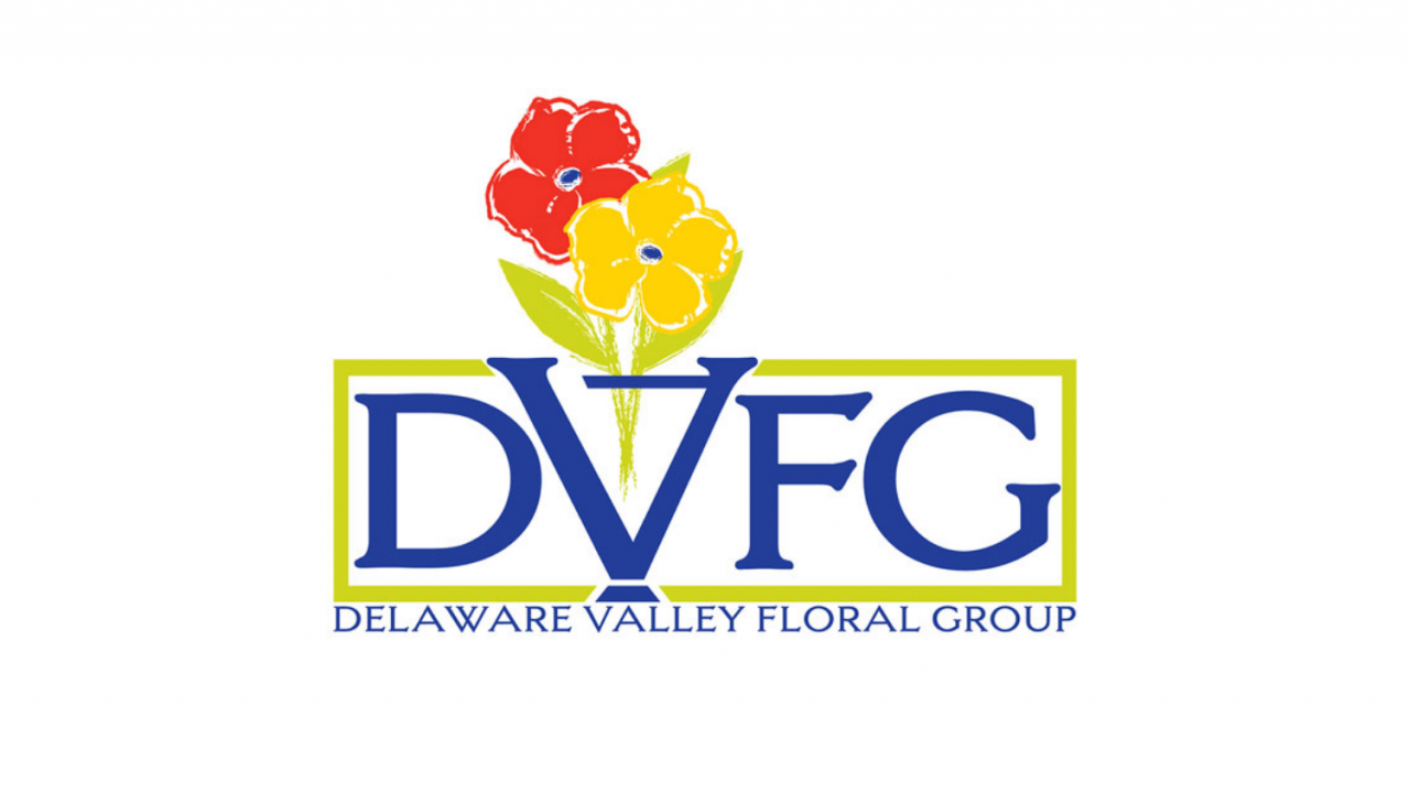 dvfg-logo